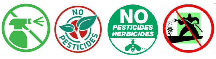 afbeelding versterkt anti pesticiden dag