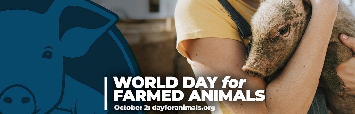 afbeelding versterkt werelddag voor landbouwdieren