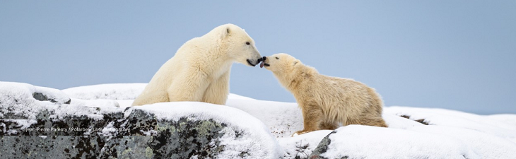 afbeelding versterkt arctische zee-ijsdag