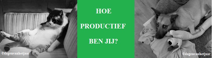 ondersteunt Productiviteitsdag