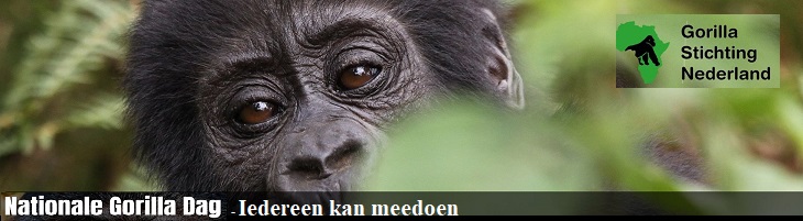 uitlichten naaimachine dag