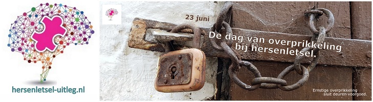 ondersteunt dag van de overprikkeling