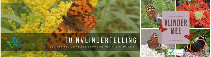 ondersteuning free hugs day