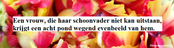 ondersteuning van schoonvaderdag