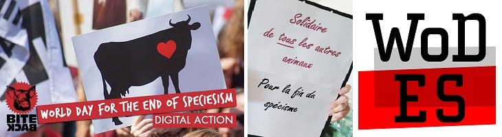 foto ondersteunt dag van speciësisme