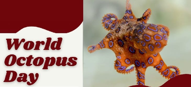 afbeelding ondersteunt wereld octopus dag