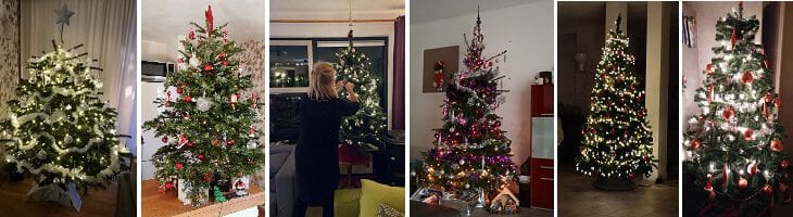 afbeelding versterkt look for an evergreen day