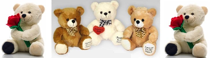 afbeelding versterkt teddyberendag