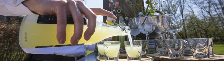 afbeelding versterkt dag van de limoncello