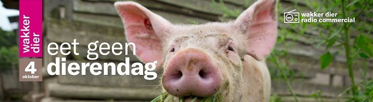 afbeelding versterkt eet geen dieren dag