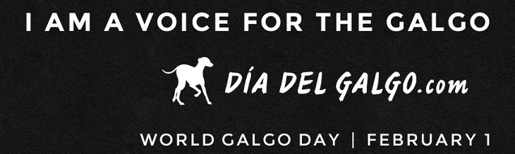 afbeelding versterkt wereld galgo dag