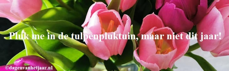 afbeelding versterkt tulpendag